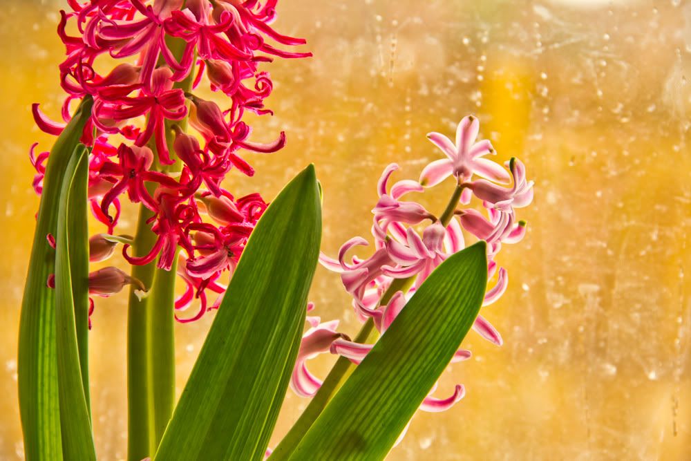 IMAGE: http://img.photobucket.com/albums/v736/Boomstick68/IMG_1404.jpg