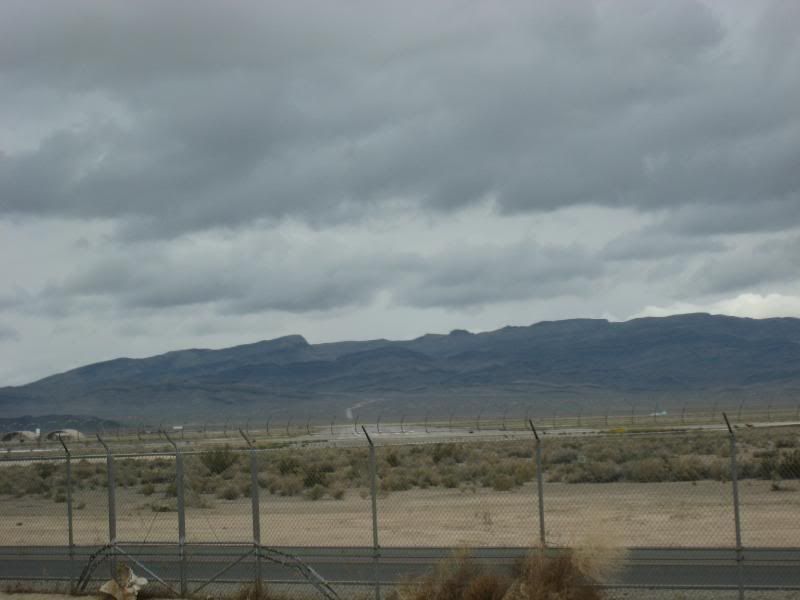 IMG_3556.jpg
