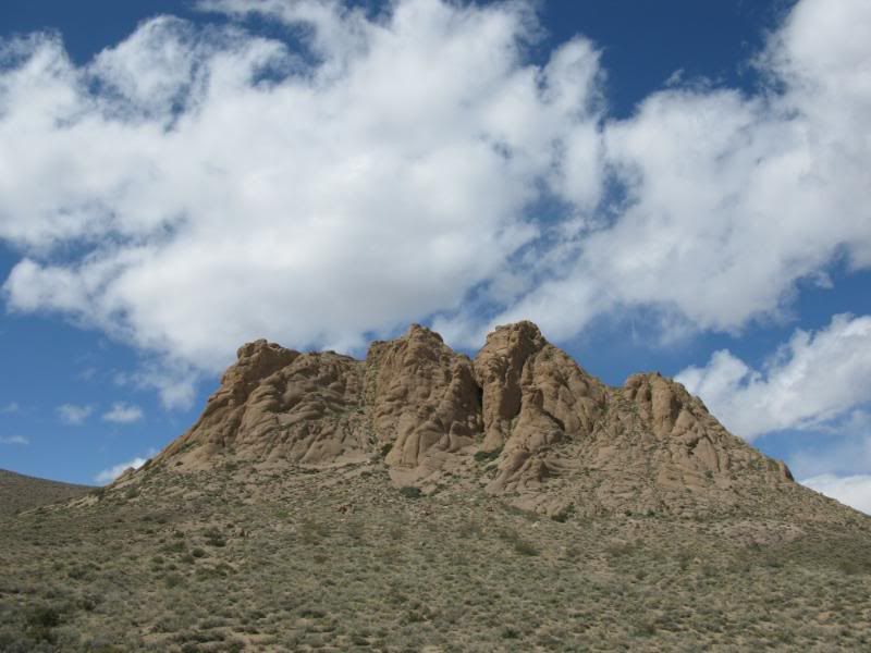 IMG_7124.jpg