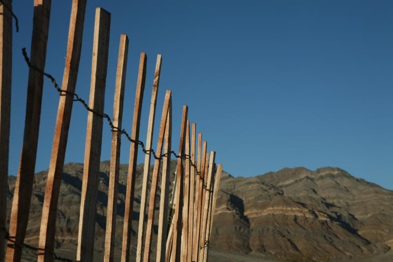 20100406_9999_124.jpg