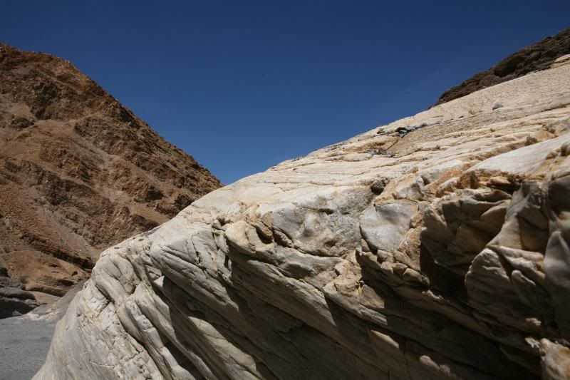 20100406_9999_25.jpg