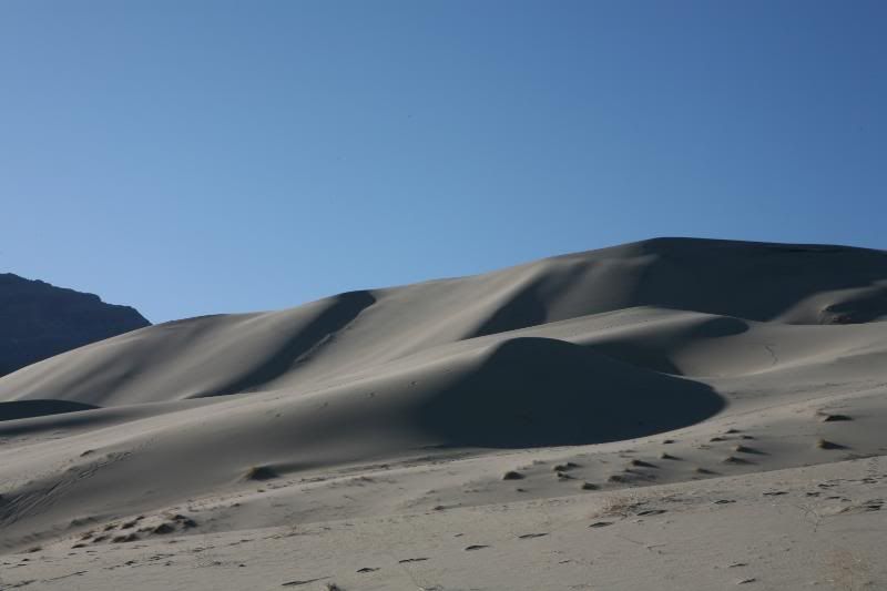 20100407_9999_88.jpg