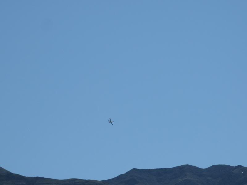 IMG_7374.jpg