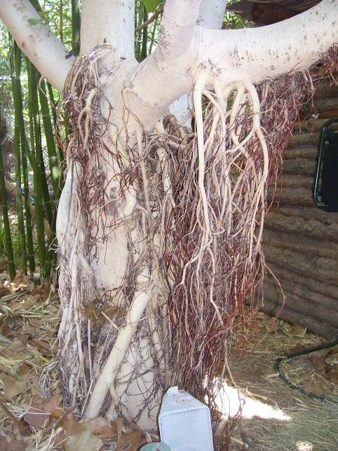 100_1450.jpg