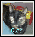 Uh oh! Cleo seems to have wandered off! I'll find her ASAP! =)
