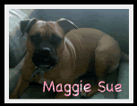 Uh oh! Miss Maggie Sue appears to be missing. I'll bring her back ASAP. =)