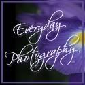 Everyday Photography