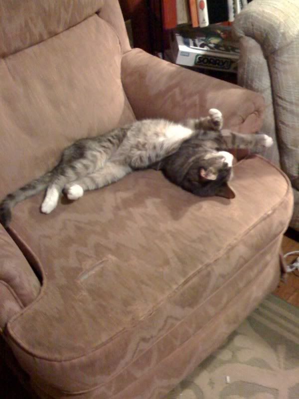 Photobucket Image Hosting