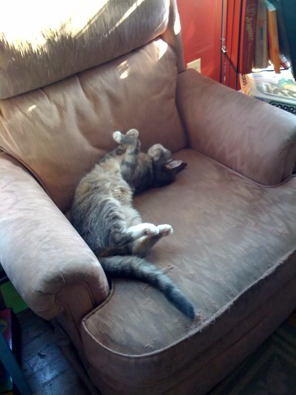 Photobucket Image Hosting