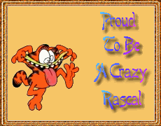 Crazy Garfield