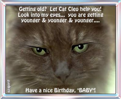 Birthday-Cat.jpg