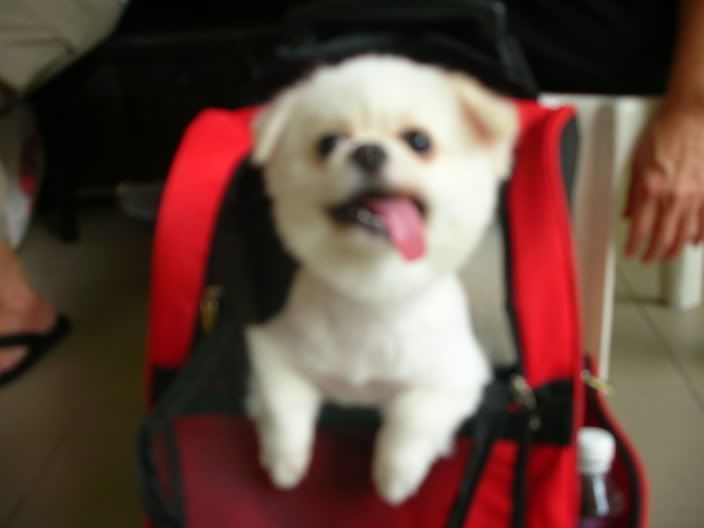 Image hosting by Photobucket