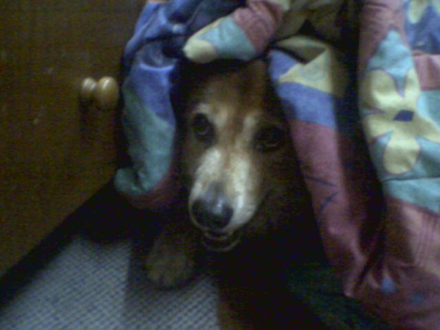 Image hosted by Photobucket.com