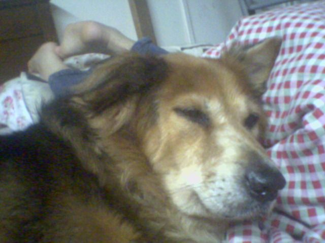 Image hosted by Photobucket.com