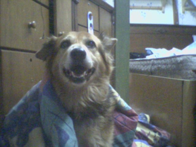 Image hosted by Photobucket.com