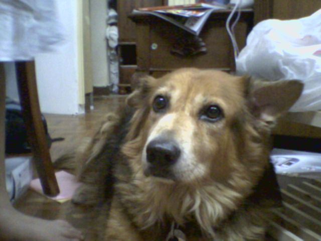 Image hosted by Photobucket.com