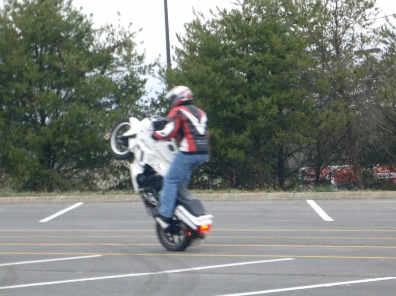 ninja 250 wheelies Sport Bikes