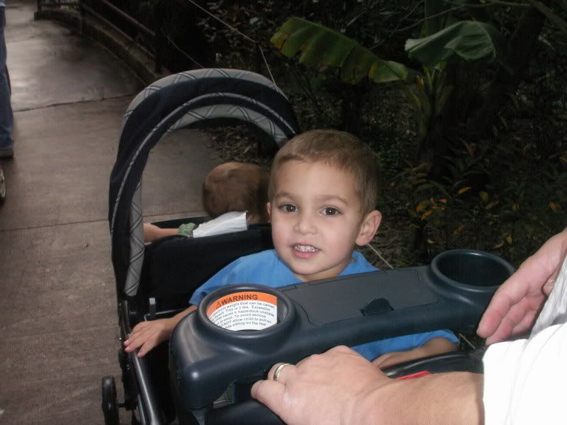 Photobucket - Video and Image Hosting