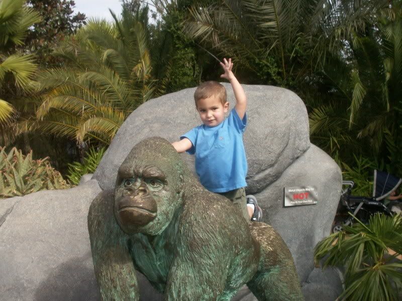 Photobucket - Video and Image Hosting