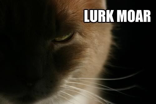 lurkmoar.jpg