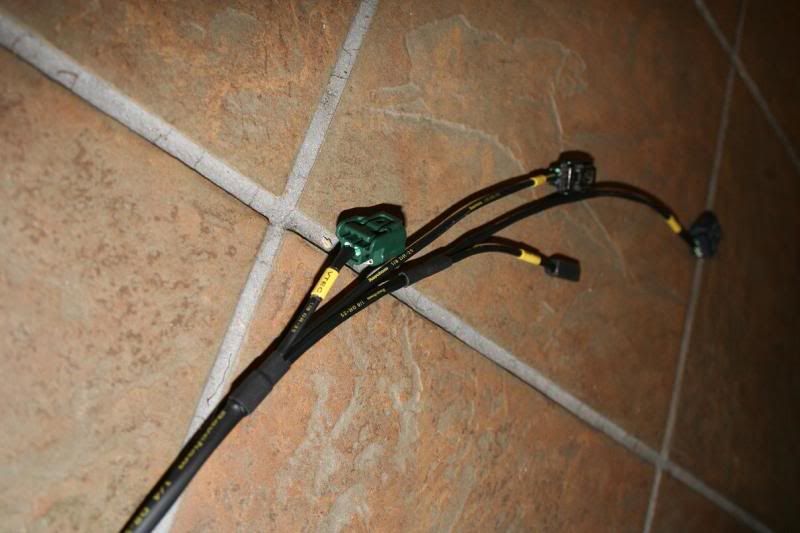 FS Fully tucked engine harnesses!