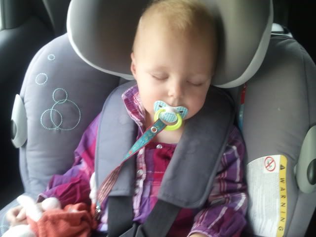 2011-11-05150823.jpg