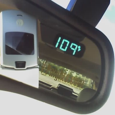 DamnHot.jpg