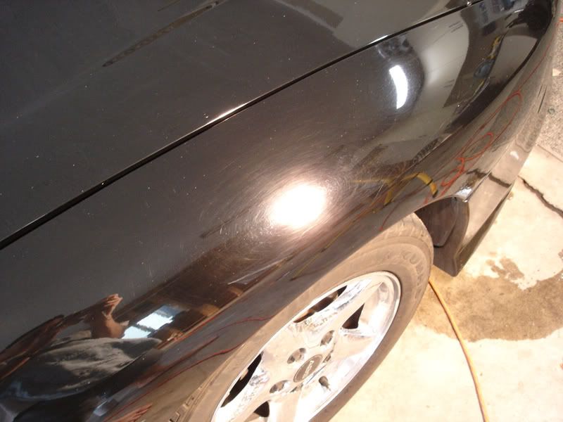 Fender-Before.jpg