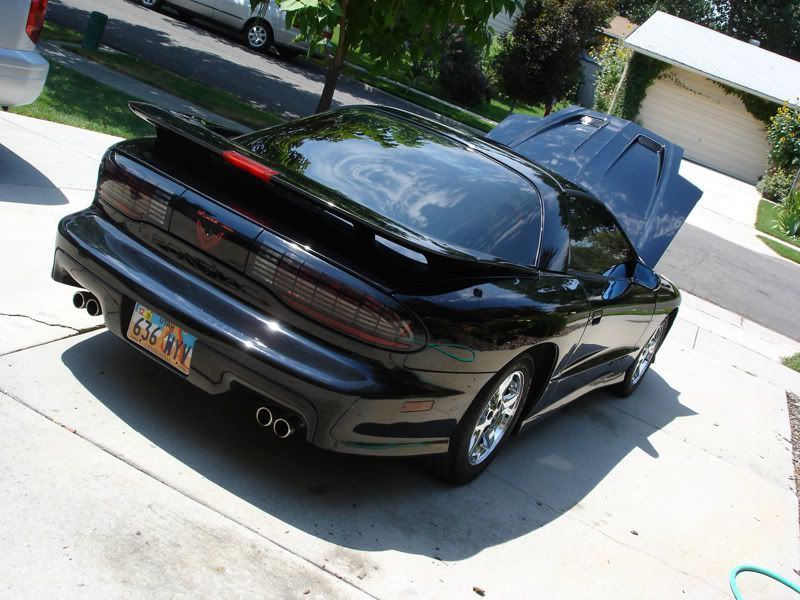 TransAm-Rear.jpg