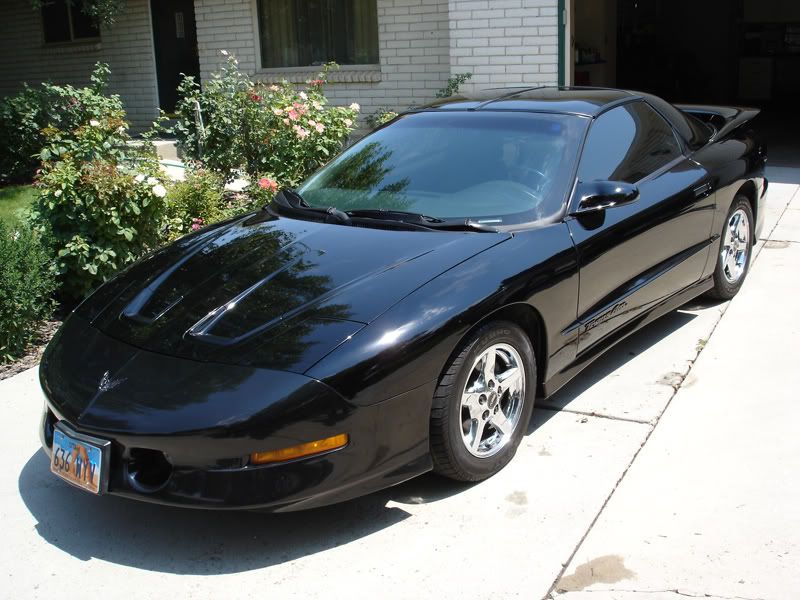 TransAm.jpg