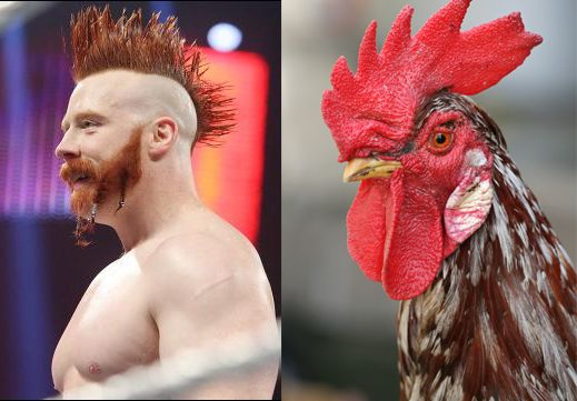 sheamus.jpg