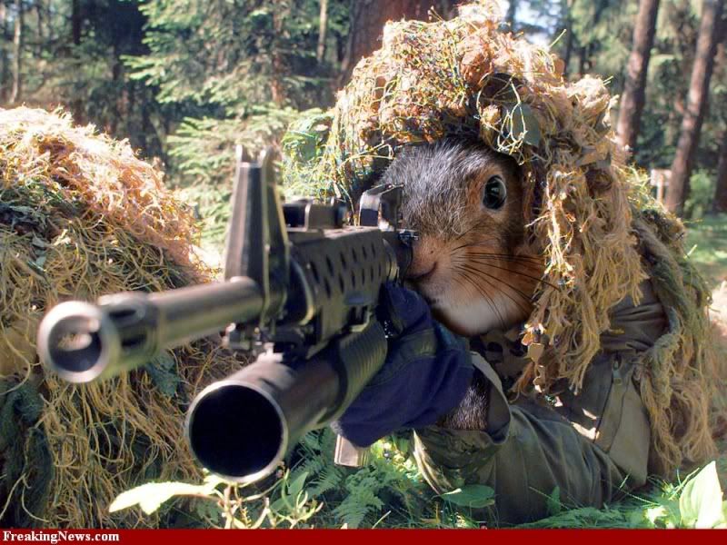 Sniper-Squirrel-30002_zps8327f3e5.jpg