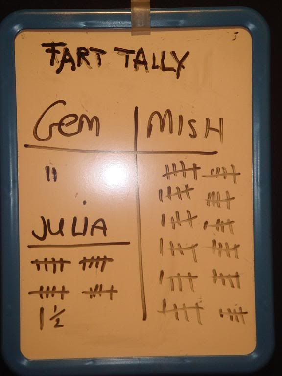 Fart Tally at Home