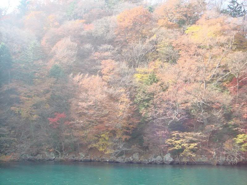 Scenary from the boat ride