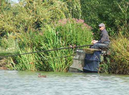 Peg16-1.jpg Peg 16. Tony Roberts. picture by pnm123