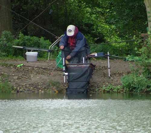 W34-1.jpg Pete unhooks a carp. picture by pnm123