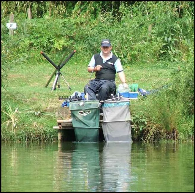 a12.jpg A slightly shocked Budgie on peg 2. picture by pnm123