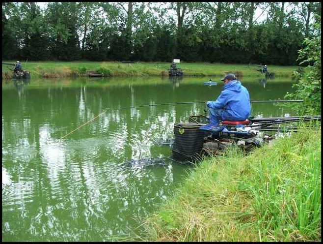 a7-2.jpg Jon playing a Carp on peg 7. picture by pnm123