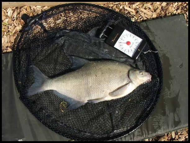 A14.jpg Bream 5lbs 8ozs picture by pnm123
