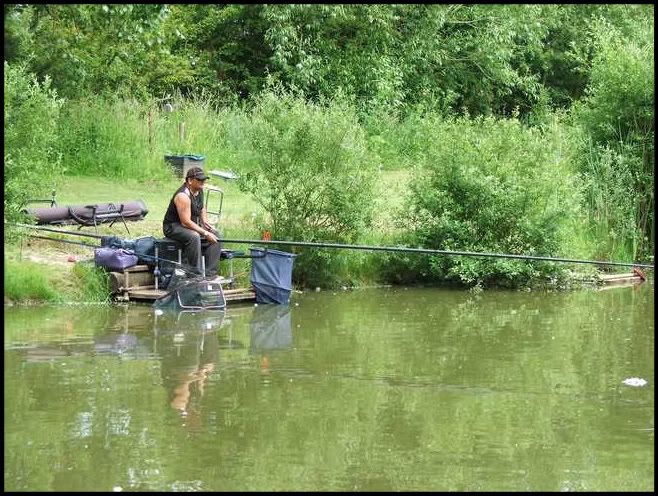 A22-2.jpg Steve (Steak) on peg 40. picture by pnm123