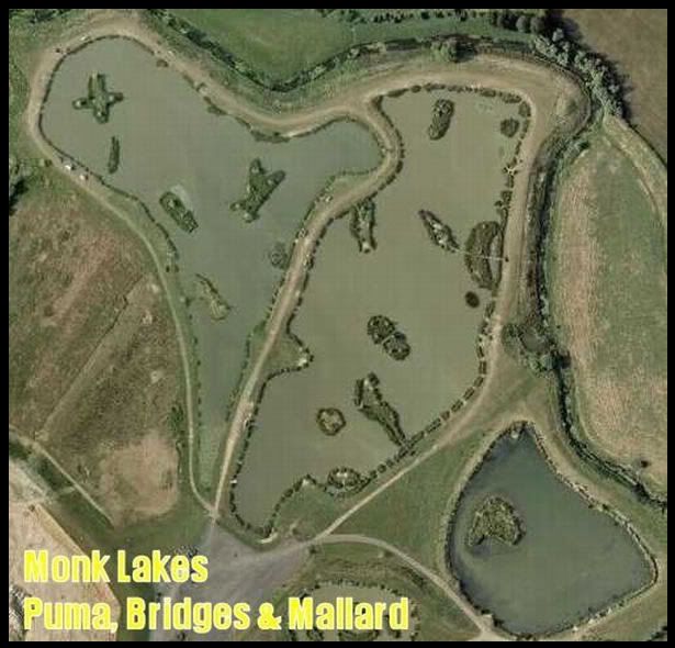 MonkLakes.jpg Puma, Bridges and Mallard. picture by pnm123