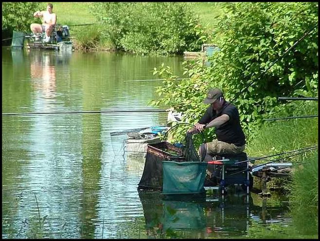 a1-4.jpg Dave Webster on peg 7. picture by pnm123