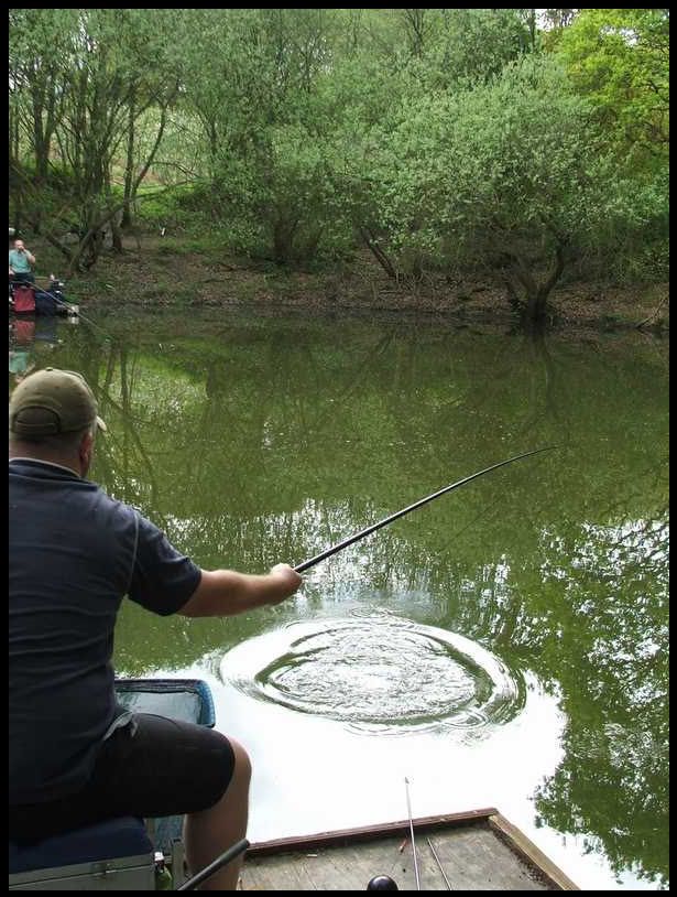 a10-1.jpg Al plays a Carp. picture by pnm123