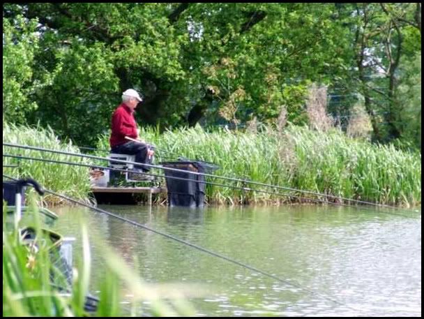 p.jpg Peter fished the feeder. picture by pnm123