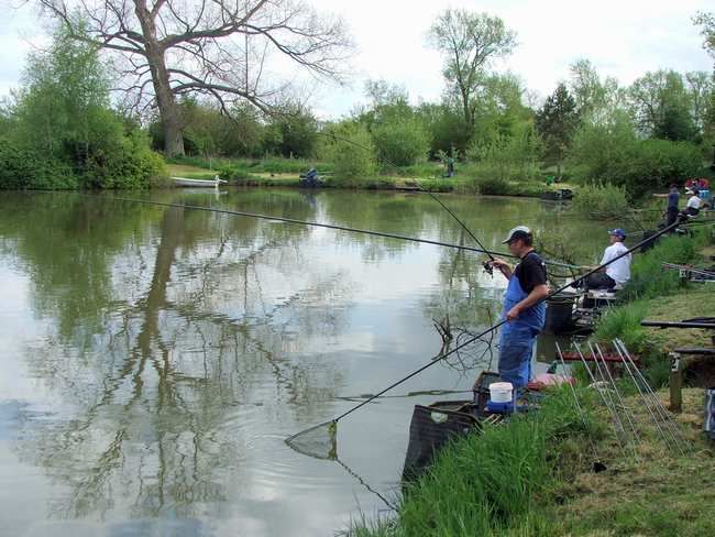 A24-1.jpg Jon plays a Carp. picture by pnm123