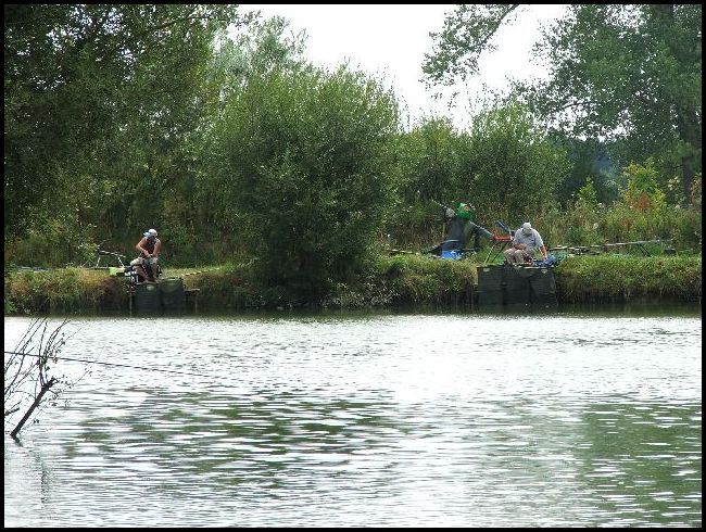 Tricky (peg19) and Jon (peg20)