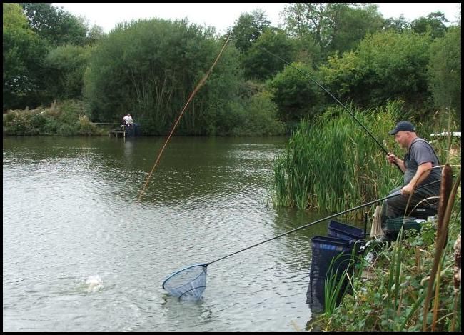Another fish on its way to the net for Al