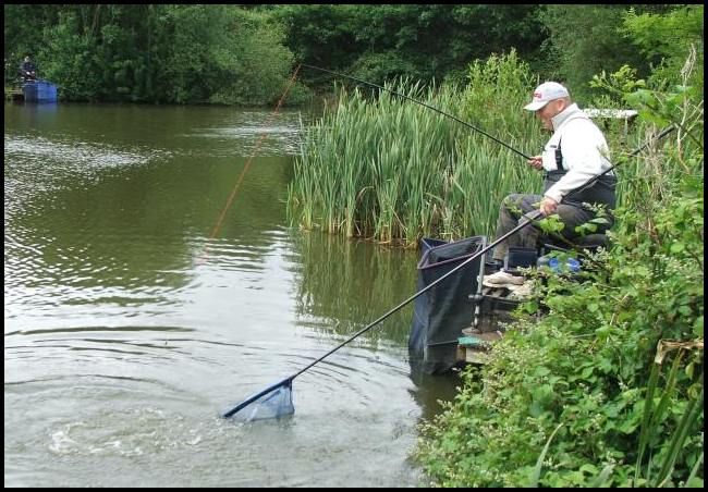 Lee nets another carp from Peg 2