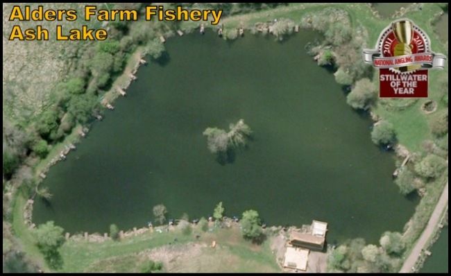 Ash Lake at Alders Farm Fishery 