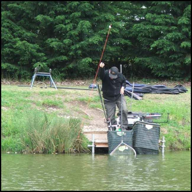 Fred brings a carp to the waiting net on peg 34
